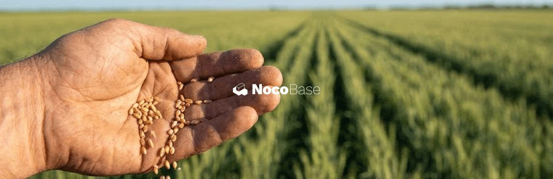 NocoBase で構築するノーコード ERP の実例