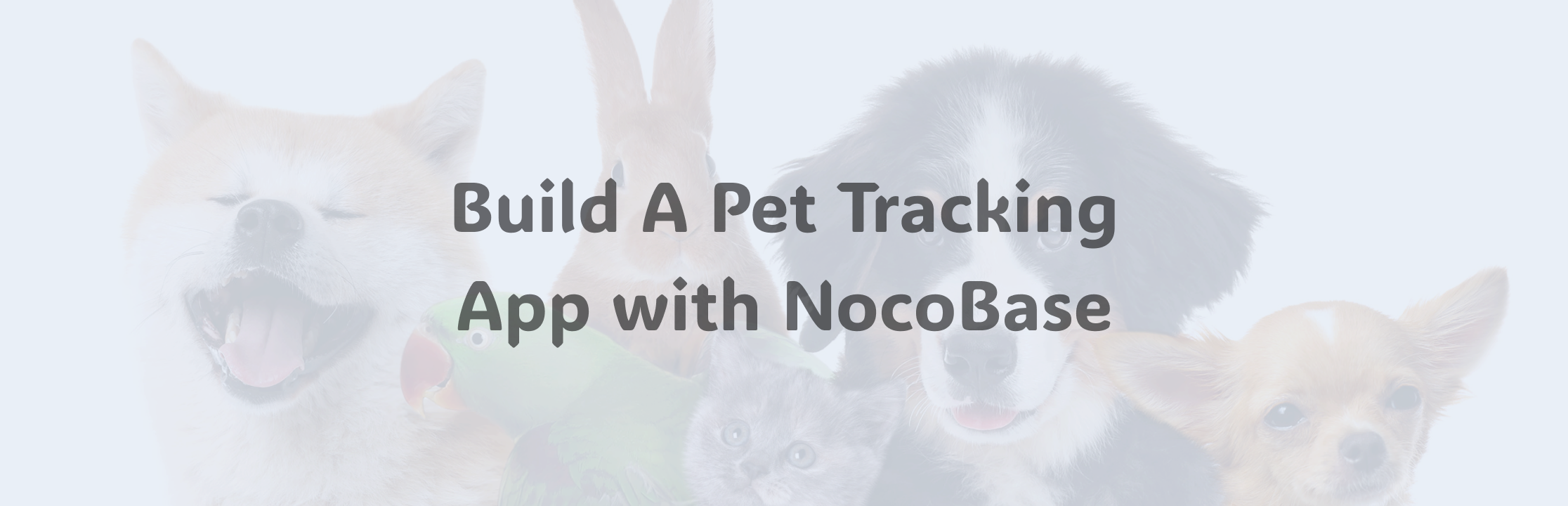 Pet Tracking Application.png