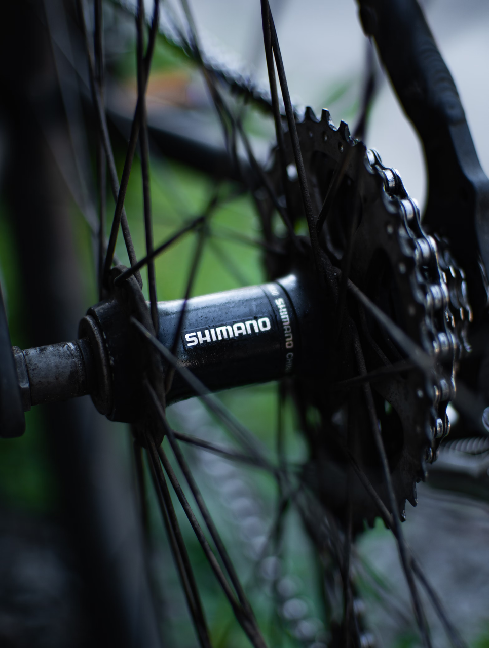 SHIMANO