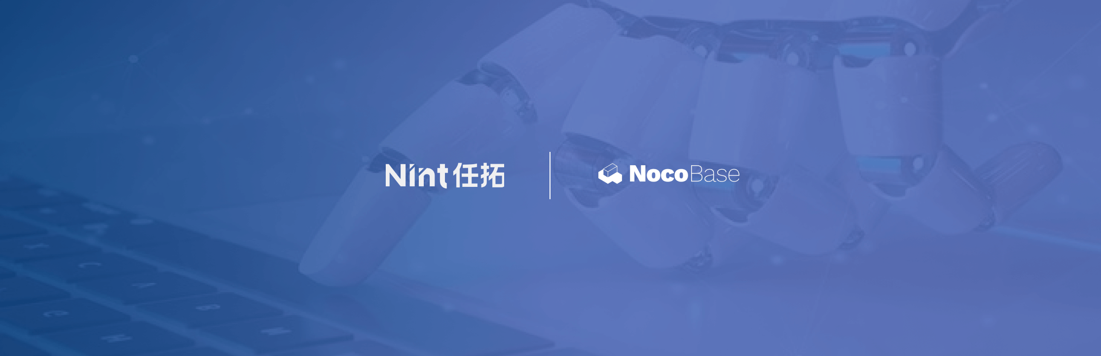 Why Nint Chose NocoBase: Best Practices for In-House Development Transformation