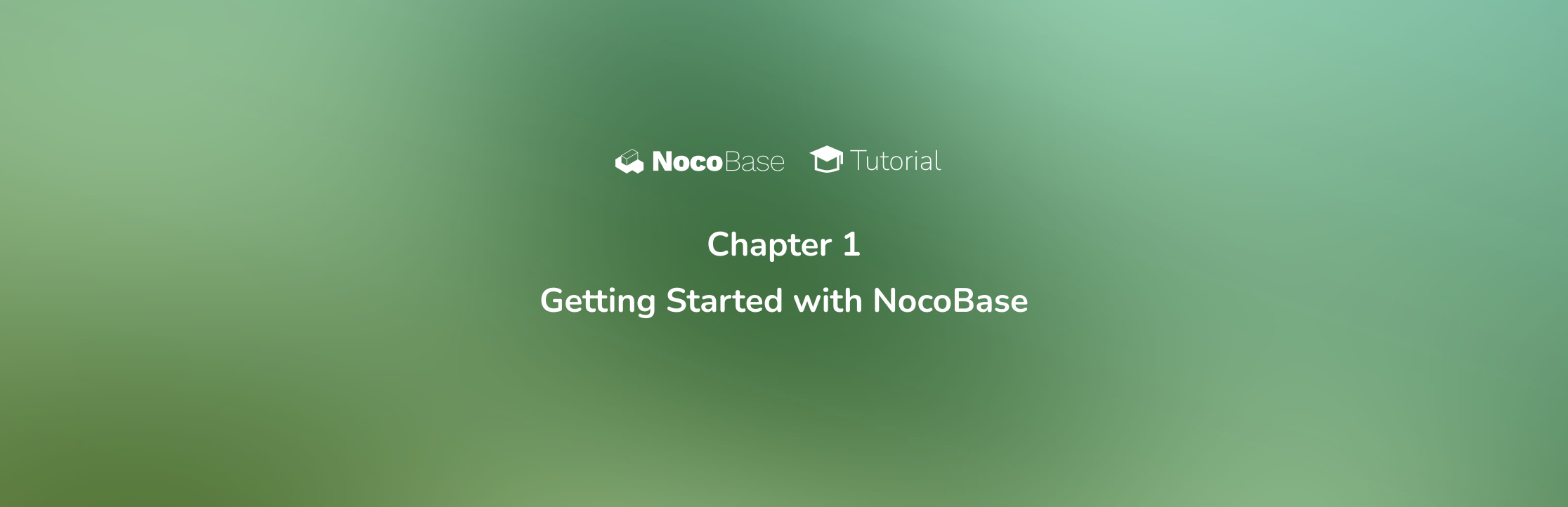 Chapter 1: Getting Started with NocoBase - NocoBase