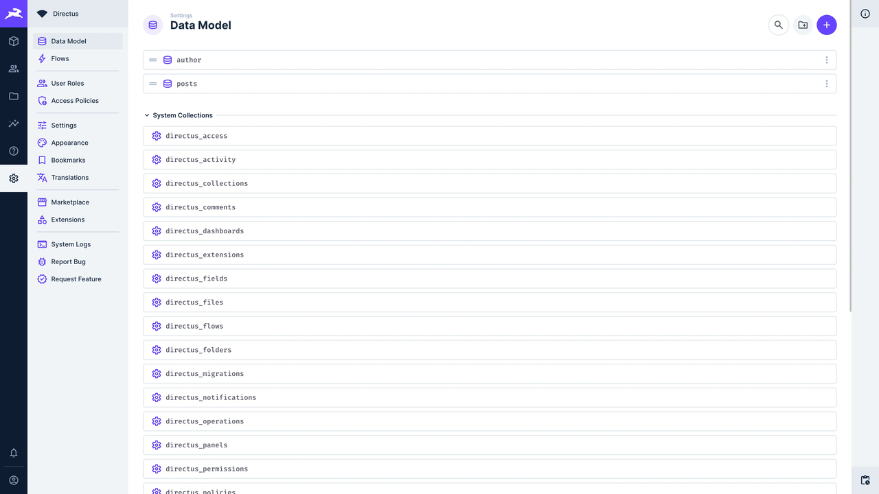 Directus2.png