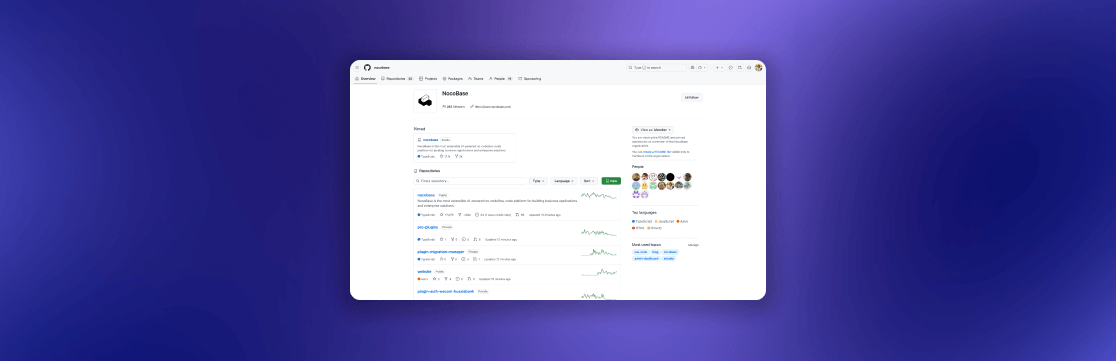 AIも資金調達もなし——17KのGitHubスターと実収益だけで勝負