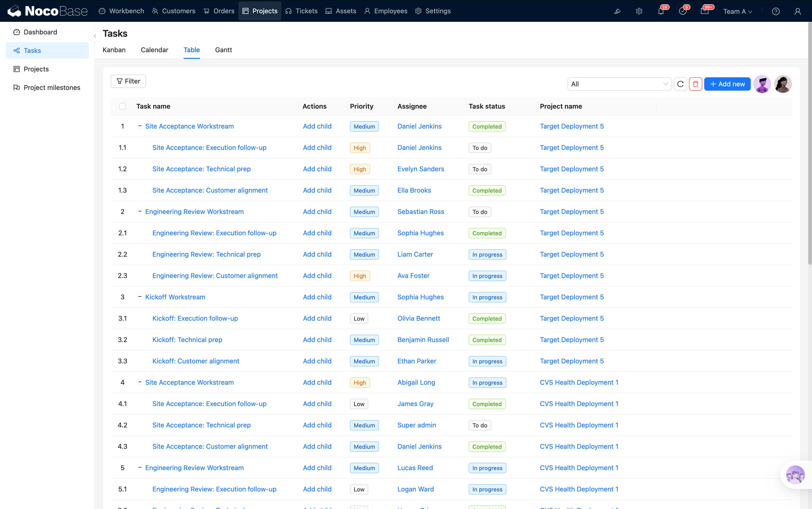 Project management interface